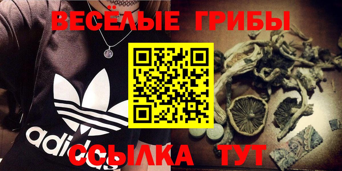 Псилоцибиновые грибы Cubensis Томск