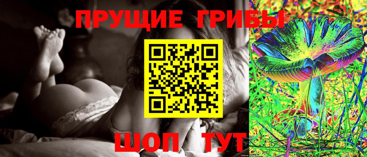 магазин  наркотиков  Вход с VPN  Томск  Псилоцибиновые грибы Psilocybine cubensis 